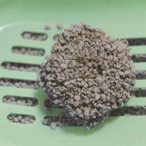 Cat Global® green bentonite cat litter irregular shaped