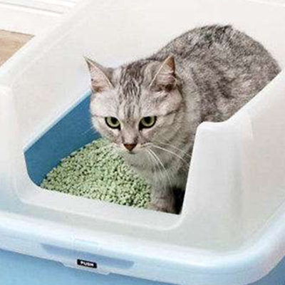 tofu cat litter