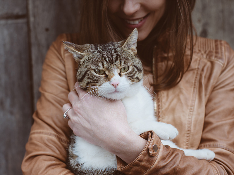 biodegradable cat litter