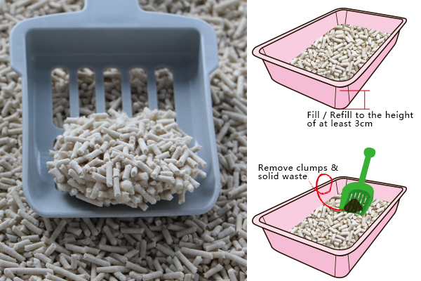how to use tofu cat litter