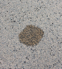 Cat Global dust-free-premium-mineral-litter