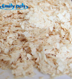 Emily-pets-wood-shavings