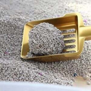 cat global premium cat litter