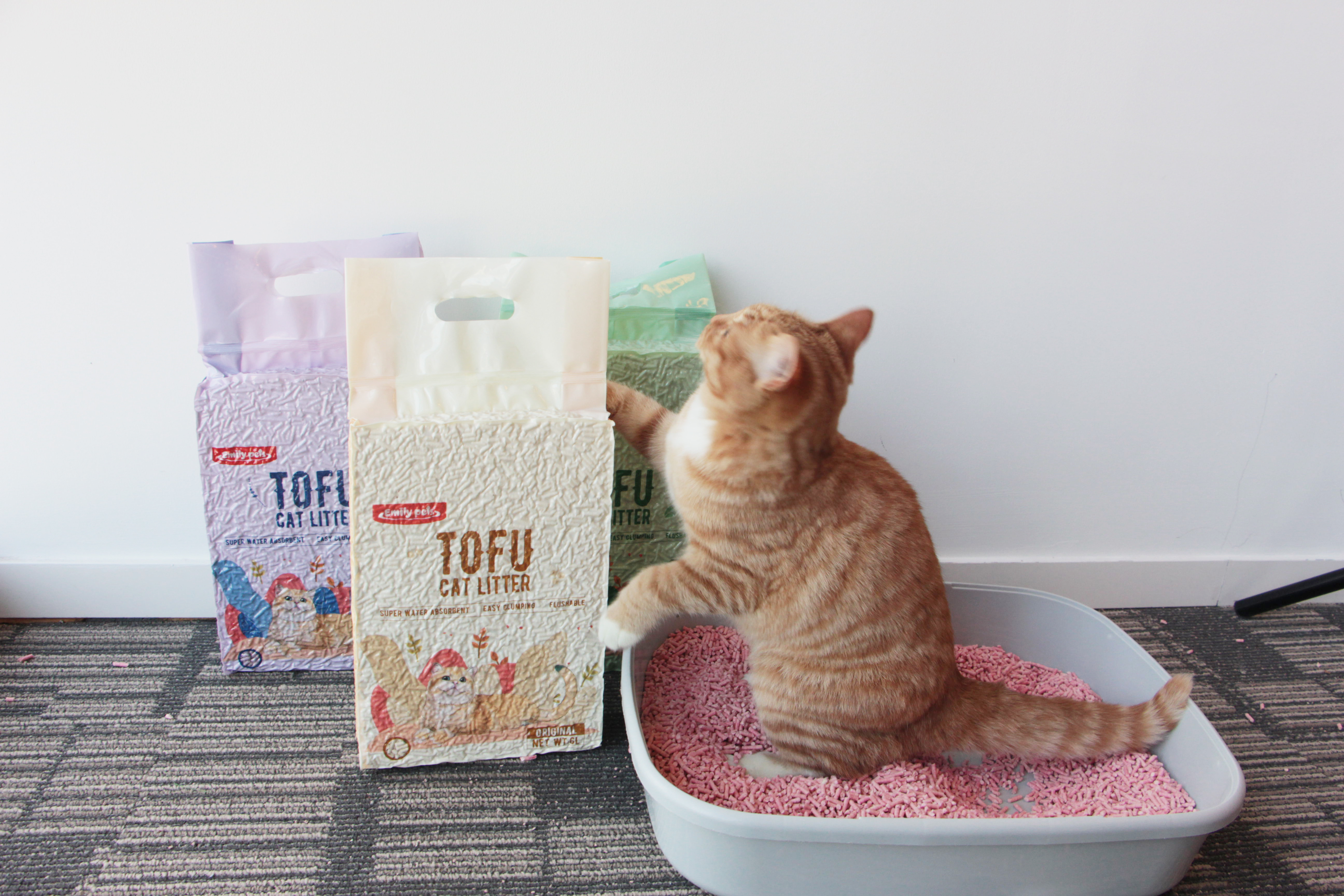 best tofu litter