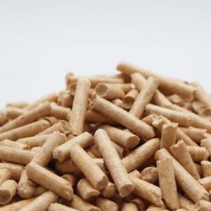 compostable cat litter brands