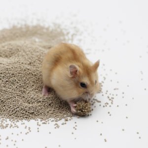 Small Animals Bedding Products