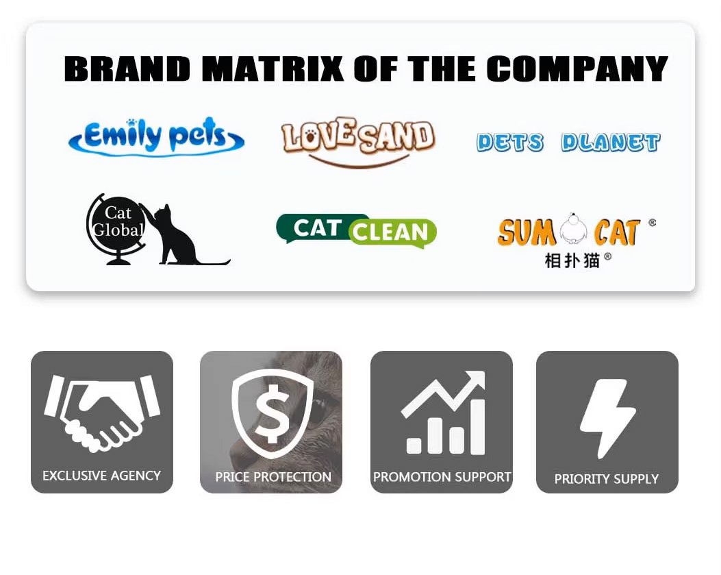 Bentonite Cat Litter