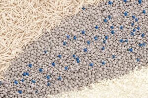 best clumping cat litter