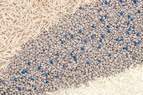 best clumping cat litter