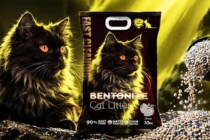 cat litter manufacturer